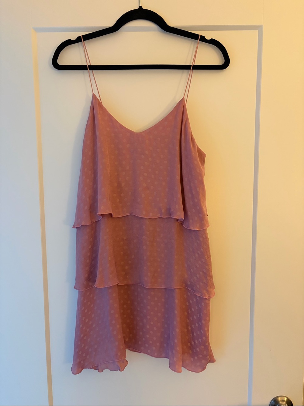 Show Me Your MuMu Polka Dot Dress